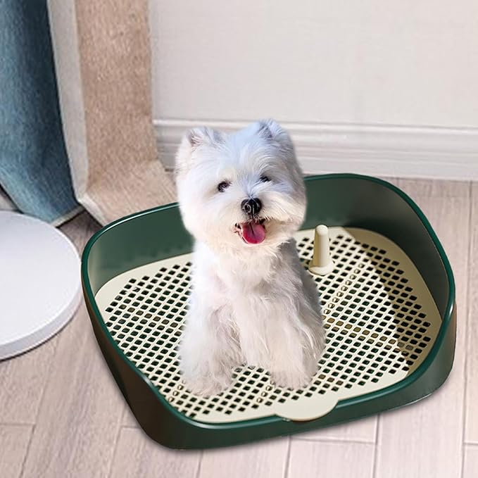 Dog Tray with Wall for Cats and Dogs, Elevated Pet Feeding Station, Wall-Mounted Pet Bowl Tray with Barrier, Multi-Level Pet Food Dispenser for Clean Feeding- Green S