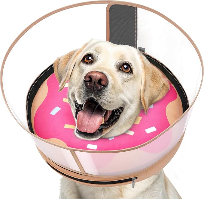 Inflatable Dog Cone with Transparent Shield, Protective Dog Donut Collar After Surgery to Stop Licking, Soft Donut Cone for Extra Large Pets, Adjustable Recovery Collar with Buckle Visibility
