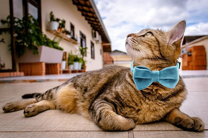 Cat Collar Breakaway with Bell and Removable Bow Tie Safety Buckle Velvet Adjustable 7-11 inches for Kitten Cats (Blue)