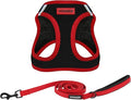 Best Pet Supplies Voyager Step-in Air All Weather Mesh Harness and Reflective Dog 5 ft Leash Combo with Neoprene Handle, for Small, Medium and Large Breed Puppies - Red Trim, M