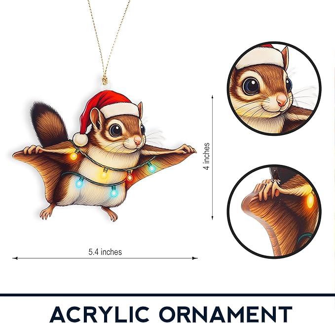 Cute Squirrel Ornaments for Christmas Tree, Squirrel Gifts for Women, Funny Animal Christmas Ornaments, Holiday Decorations for Tree, Secret Santa Exchange Present