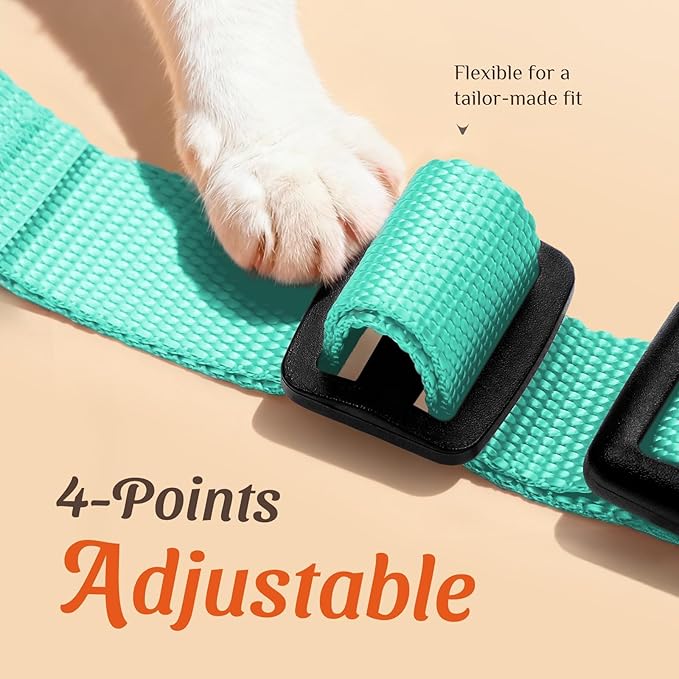 Dooradar Cat Harness and Leash Set, Escape Proof Safe Adjustable Kitten Vest Harnesses for Walking, Easy Control Soft Breathable Mesh Jacket with Reflective Strips for Cats, Green, XS