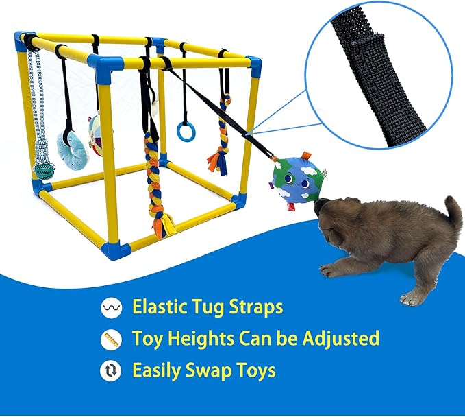 Dewonch Puppy Play Gym with 8 Hanging Toys, Small Dogs Indoor Jungle Gym, PVC Frame with Bungee Straps Enrichment Activity Center