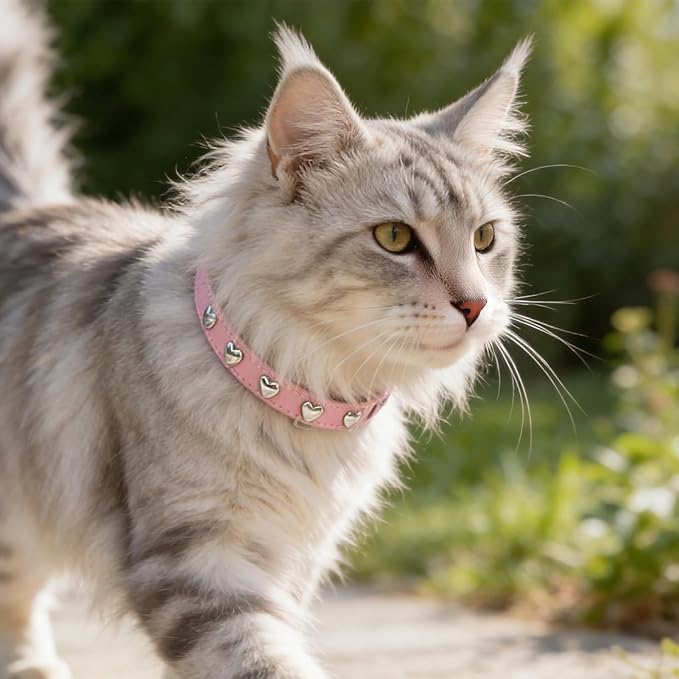 EXPAWLORER Leather Cat Collar for Girl Boy Valentine's Day - Adjustable Pet Collar with Safety Elastic Belt,Personalized Heart Accessories Buckle Collars with Bell & Durable D-Ring,Heart(Pink)