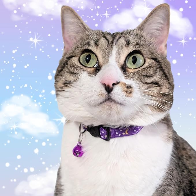 Set of 2: KioKatt Celestial Nylon Cat Collars with Matching Bells – Adjustable Breakaway Safety Collars for Adult Cats, 7–11" (Purple + Pink)