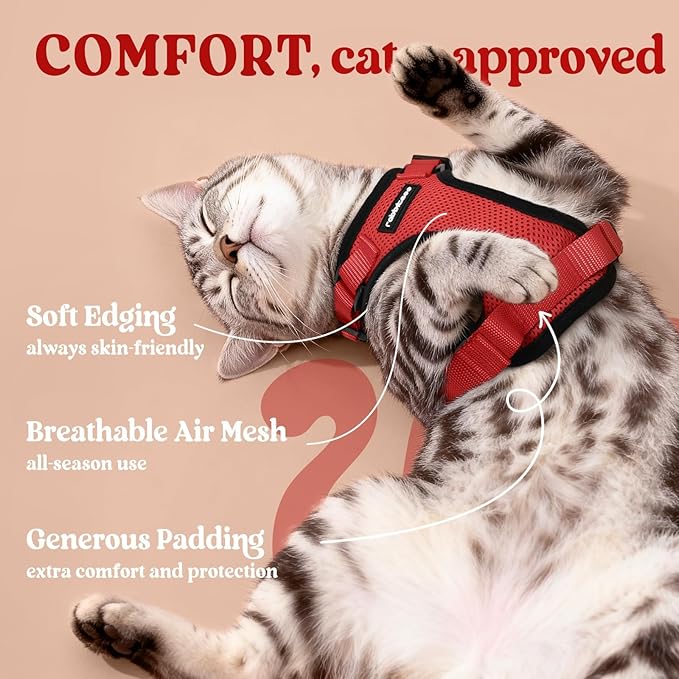 rabbitgoo Cat Harness and Leash for Walking, Escape Proof Soft Adjustable Vest Harnesses for Cats, Easy Control Breathable Reflective Strips Jacket, Red, XS