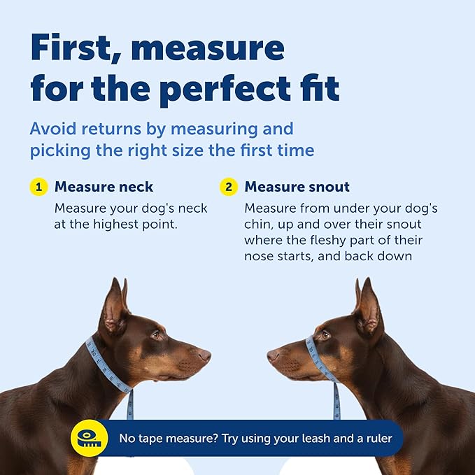 PetSafe Gentle Leader Headcollar No-Pull Dog Collar - Helps Improve Walks - Durable Nylon Construction - Padded Nose Loop - Adjustable Fit - Comfort Walking Halter - Large, Raspberry Pink