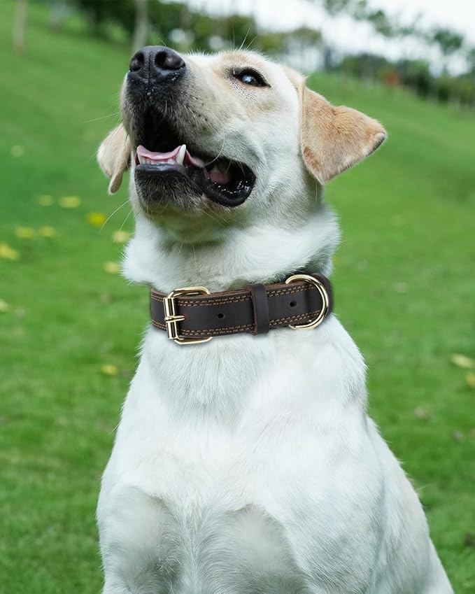 Joytale Genuine Leather Dog Collar for Large Dogs, Heavy Duty Thick Solid Leather for Power Breeds, Sturdy Adjustable Pet Collar with Metal Pin Buckle, Durable for Daily Walking, Brown, L