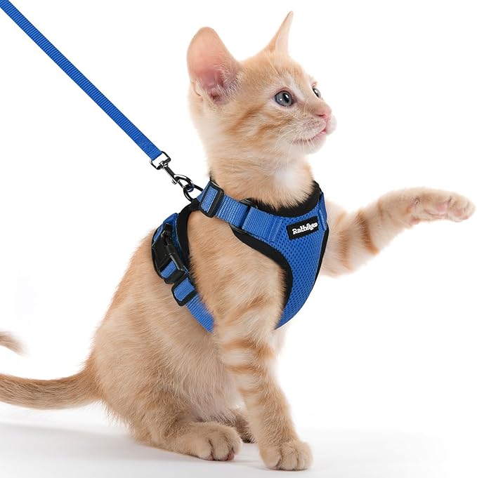 rabbitgoo Cat Harness and Leash for Walking, Escape Proof Soft Adjustable Vest Harnesses for Cats, Easy Control Breathable Reflective Strips Jacket, Navy Blue, XXS