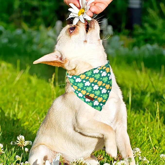 ARING PET St Patrick's Dog Bandana 2 Pack-Cute Green Clovers Dog Bandanas, Reversible Shamrock Dogs Triangle Bibs Trefoil Pet Scarf for Dogs and Cats