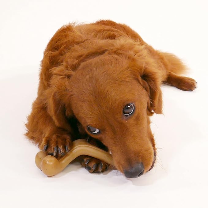Nylabone Gourmet Style Wishbone Strong Chew Toy for Dogs, Chicken Flavor, Small - Up to 25 lbs, 1 Count