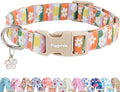 Faygarsle Colorful Floral Dog Collar, Cotton Fabric with Daisy Pattern, Multi-Color Stripes Spring Summer Design for Small Medium Large Dogs L
