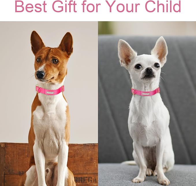 Nylon Dog Collar - Adjustable Rose Red Soft Webbing Dog Collars for Small Medium Large Dogs Boy Girl Puppy Collar with Safety Metal Buckle M