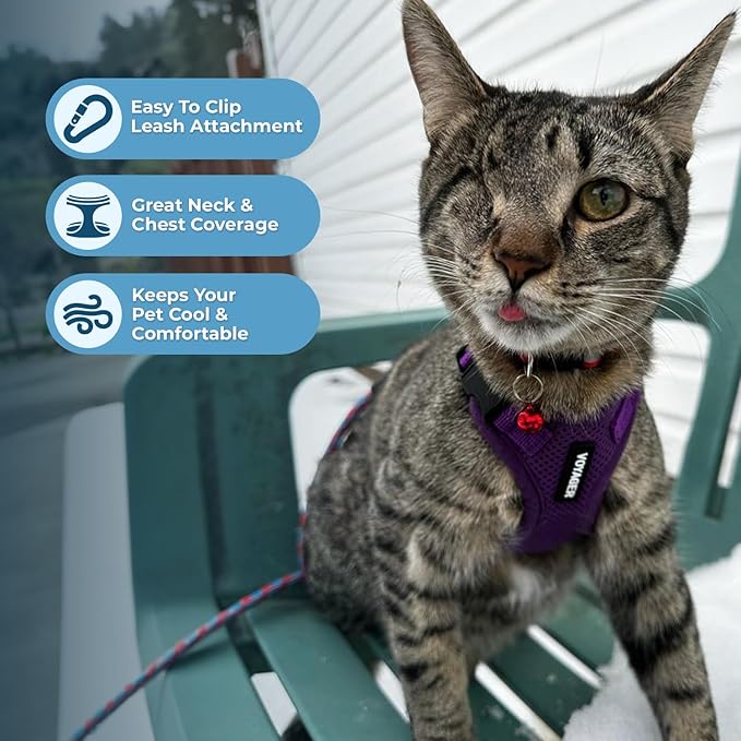 Voyager Escape-Proof Step-in Lock Cat Harness & 5ft Neoprene-Handle Leash Set All-Weather Mesh with Reflective Stitching for Small to Large Cats by Best Pet Supplies, Purple, XXS