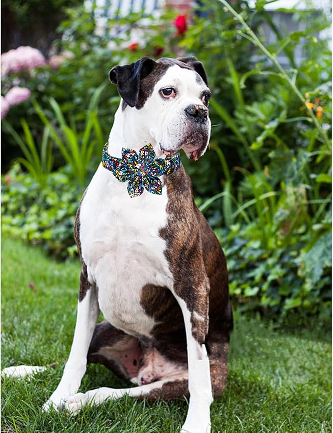 Lionheart Glory Darkblue Flower Dog Collar - Floral Bow for Male or Female, Spring Fall Pet Gift, Durable Adjustable for Small Dogs