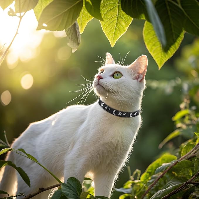 EXPAWLORER Cat Collar for Girl Boy Cats- Adjustable Leather Pet Collar with Safety Elastic Belt,Personalized Punk Accessories Buckle Collars with Bell & Durable D-Ring, Star & Moon