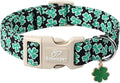 St Patricks Day Dog Collar for Giant Large Dogs - Green Lucky Shamrock Boy Dog Collars, Irish Clover Pattern Black Male Puppy Collar with Quick Release Buckle XL