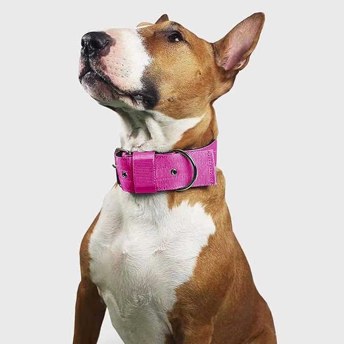 Heavy Duty Tactical Dog Collar - 1.5" Width Military Durable Thick Nylon with Adjustable Metal D Ring & Buckle Working Training K9 Collar for Medium Large Dogs (M(17"-20"), Hot Pink)