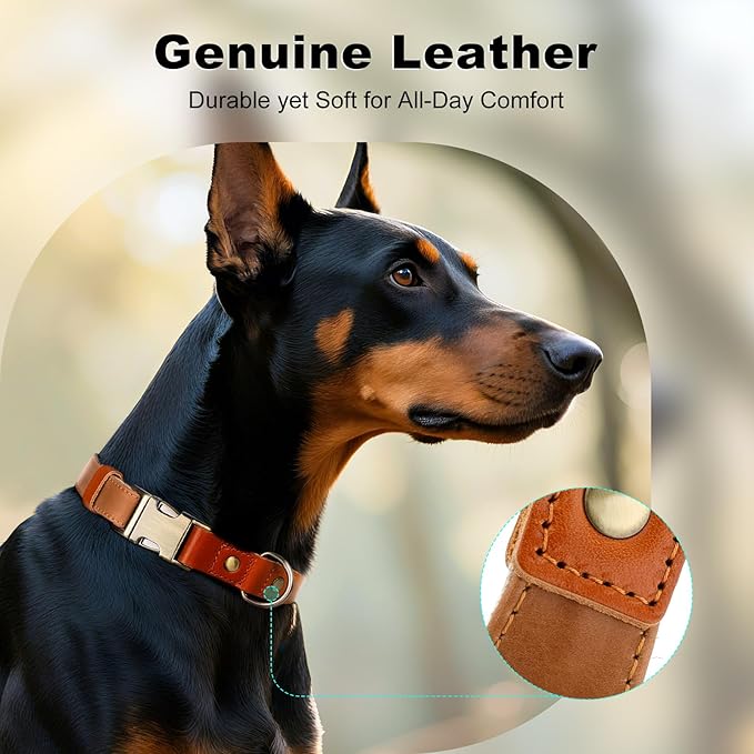 Plutus Pet Genuine Leather & Hemp Dog Collar – Adjustable Heavy Duty Pet Collar with Quick Release Metal Buckle, Soft & Stylish for Puppy and Small, Medium, Large Dogs (Light Brown, XS)