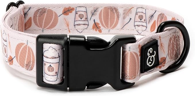Lucy & Co. Awesomely Autumn Dog Collar - Durable Lightweight Designer Collar for Pets - Adjustable Metal Safety Buckle (Large, White & Orange Pumpkins)