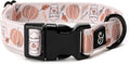 Lucy & Co. Awesomely Autumn Dog Collar - Durable Lightweight Designer Collar for Pets - Adjustable Metal Safety Buckle (Large, White & Orange Pumpkins)