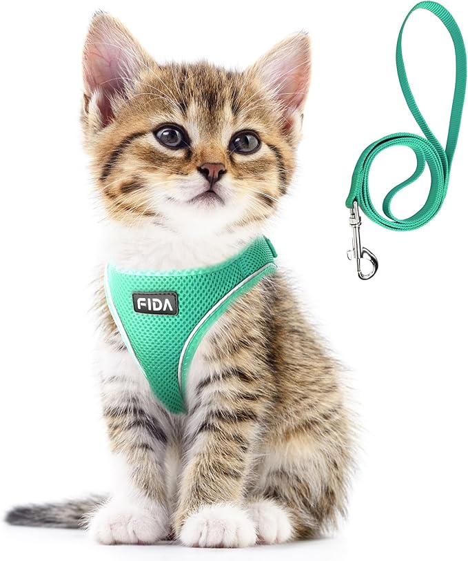 Fida Cat Harness and Leash Set for Walking Kitten and Puppy, Escape Proof Kitten Harness with Breathable Lightweight Soft Mesh, Adjustable Reflective Step-in Design. (S, Green)