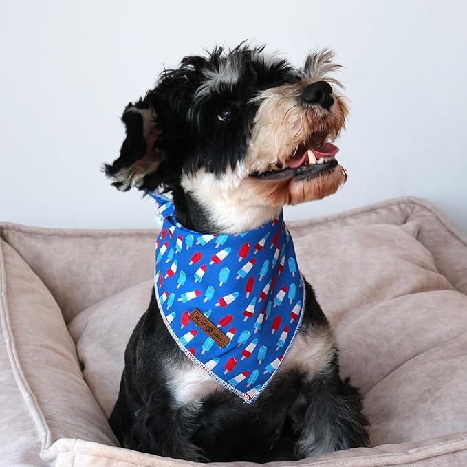 lionet paws Patriotic 4th of July Dog Bandana Summer Popsicle for Small Medium Large Dogs, Cat Dog Kerchief Triangle Bibs Scarf for Male Female