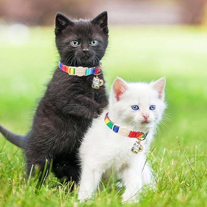 Cat Collar,2 Pack LGBT Cat Collars Breakaway with Bell, DOGWONG Safety Buckle Cat Collar for Girl Boy Cats and Small Dogs，Adjustable Kitten Collar 7-12 Inch,Pet Supplies Accessories