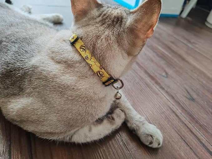 Cat Collar, 2 Pack Breakaway Collar with Bells, Safety Buckle Kitten Collars for Boy and Girl Cats, Bee+Ladybug