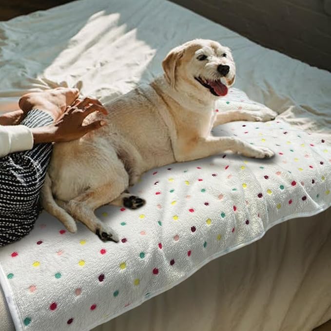 Dog Blankets for Small Medium Dogs Washable, 3 Pack Pet Blanket Washable 30" x 20", Fuzzy Soft Puppy Throw Cover for Kennel Crate Bed
