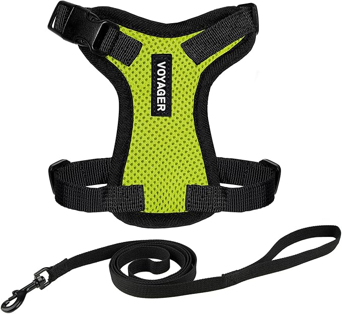 Voyager Escape-Proof Step-in Lock Cat Harness & 5ft Neoprene-Handle Leash Set All-Weather Mesh with Reflective Stitching for Small to Large Cats by Best Pet Supplies, Lime Green/Black Trim, XS