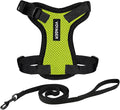 Voyager Escape-Proof Step-in Lock Cat Harness & 5ft Neoprene-Handle Leash Set All-Weather Mesh with Reflective Stitching for Small to Large Cats by Best Pet Supplies, Lime Green/Black Trim, XS
