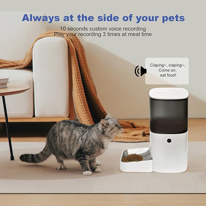 Automatic Cat Feeder, 6L Cat Food Dispenser with 10s Voice Recorder, Pet Feeder up to 8 Meals per Day, Timed Feeder with Dry Food Sealed Ring