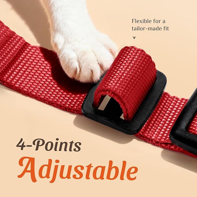 Dooradar Cat Harness and Leash Set, Escape Proof Safe Adjustable Kitten Vest Harnesses for Walking, Easy Control Soft Breathable Mesh Jacket with Reflective Strips for Cats, Red, XS
