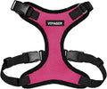 Voyager Step-in Pet Harness - All Weather Mesh, Adjustable Step in Harness for Cats and Dogs by Best Pet Supplies - Fuchsia/Black Trim, L
