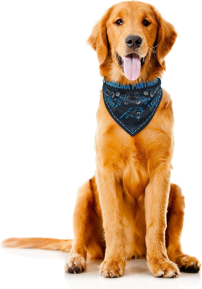 Littlearth NFL Denver Broncos Pet Bandana