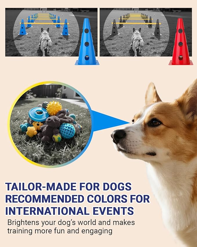 Dog Agility Course Backyard Set, Dog Agility Hurdle Cone Set with Height Adjustable Crossbar for Rehabilitation & Beginners, Dog Agility Equipment for Dog Obstacle Course - 12 Inch