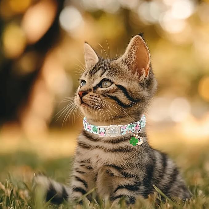 2 Pack St. Patrick’s Day Cat Collars - Breakaway Cat Collar with Bell, Green Lucky Clover Pendant, Adjustable Cute Pastel Rainbow Shamrock Kitten Collars for Boy Girl Cats