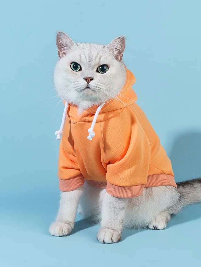 QWINEE Basic Dog Hoodie Sweatshirt Puppy Sweater Warm Cat Costumes Pet Clothes for Chihuahua Puppy Kitten Small Medium Dogs Orange XX-Small