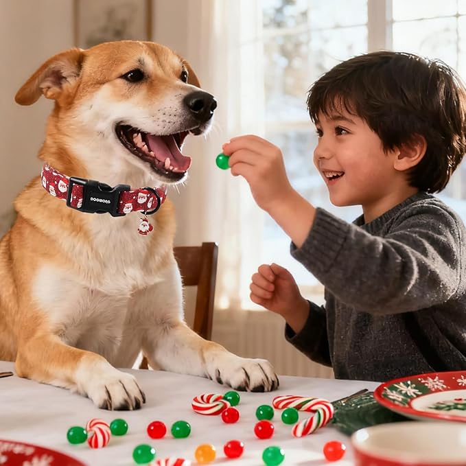 DOGWONG Christmas Dog Collar, Red Santa Claus Print Cute Dog Collars Winter Holiday Male Female Adjustable Dog Collar for Small Dogs