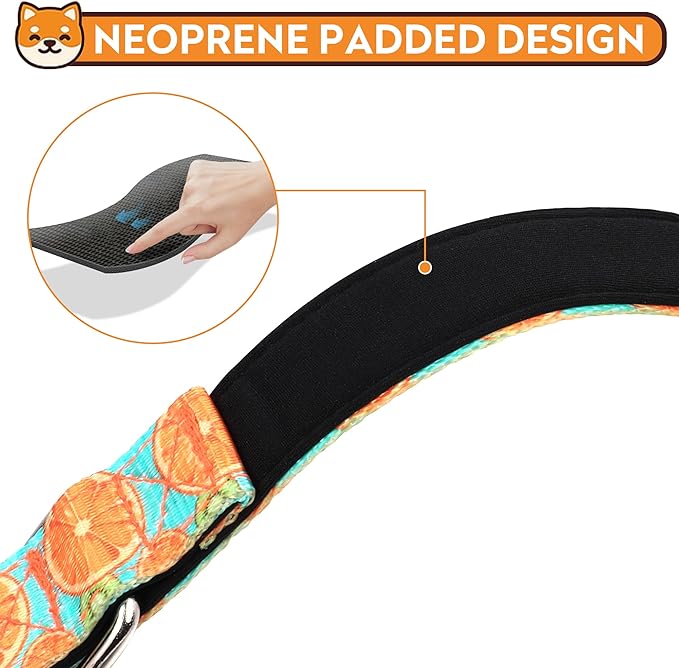 Reflective Dog Collar, Adjustable Soft Neoprene Padded Nylon Pet Collars with Buckle for Puppy and Small Dogs, Cats, Summer Lemon,L