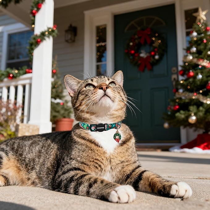 Cat Collar,2 Pack Cat Collars Breakaway with Bell, DOGWONG Safety Buckle Red Christmas Santa Cat Collar for Girl Boy Cats and Small Dogs，Adjustable 7-12 Inch,Pet Supplies Accessories