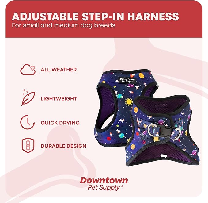 Downtown Pet Supply Step-in Dog Harness – No Pull, Adjustable Padded Mesh with Reflective Trim, Secure Buckle Strap – Comfortable & Breathable Small Dog Harness, XX-Small, Space