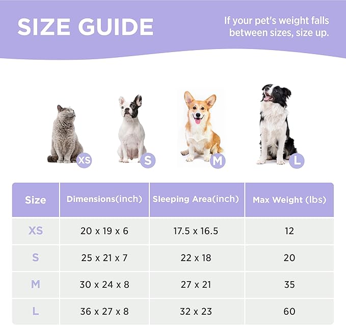 LE SURE Cute Dog Bed for Medium Dogs - Washable Pet Beds,Cozy Rectangle Orthopedic Sofa with Jacquard Shaggy Plush & Anti Slip Bottom,30x24x8inches