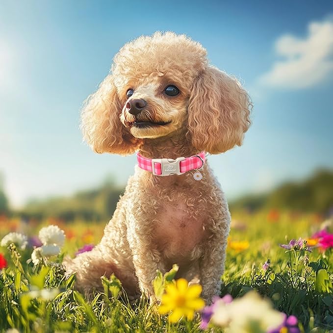 Girl Dog Collar for Large Dogs - Cute Pink Plaid Puppy Collar, Soft Adjustable Spring Summer Female Dog Collars with Quick Release Buckle L