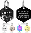YEHANTI Dog Tags Personalized for Pets with Name Pattern Art Design - Engraved with Laser - Stainless Steel Cats Dogs ID Tags - Stylish Dog Collar Accessories (Hexagon Shape)