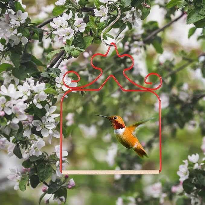 Hummingbird Swings 4 Pack, Rust Resistant Metal Frame, Red Hummingbird Perches with Wooden Dowel,Perfect for Hanging Outdoor Trunk Lawn Patio Garden Yard Porch