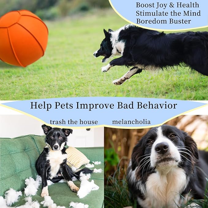 Herding Ball for Dogs, Dual Layered Herding Dog Ball Set for Australian Shepherd, Cattle, Collie, for Dog, Agility Equipment- Free Training Book (Orange, 24 inch)