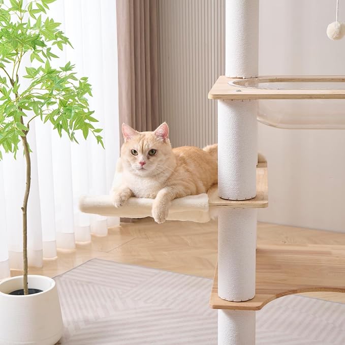 SHENGOCASE Modern Natural Wooden Wood Cat Tree Tower Condo, Extra Large Top Platform Perch, 57" Tall, Big Clear Capsule Bowl Bed, for Maine Coon Indoor Cats