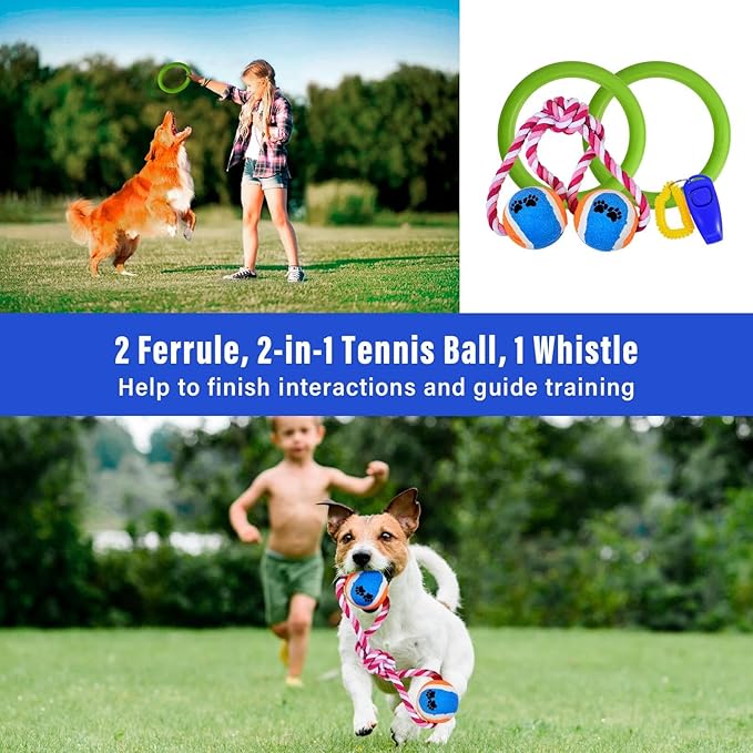 Dog Agility Training Equipment, Dog Agility Course Backyard Set with 2 Adjustable High Hurdle, 2 Tunnels, 6 Weave Poles, Pause Box, Jump Ring, Snack Bag, Folding Bowl, Balls, Whistle, Carry Bag